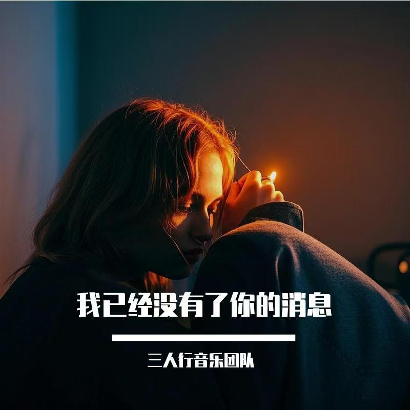 我已经没有了你的消息DJ版