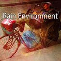 Rain Environment专辑