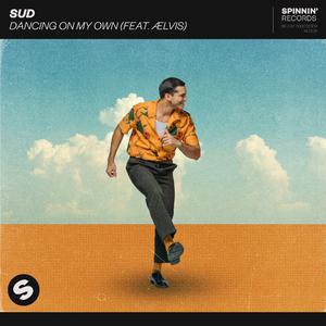 Sud ft Aelvis - Dancing On My Own (Radio Edit) (Instrumental) 原版无和声伴奏 （升3半音）