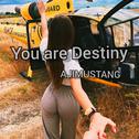You are Destiny专辑