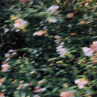 春眠不觉晓 | 春日歌单