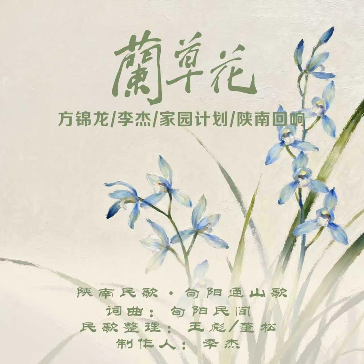兰草花