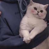 不懂浪漫
