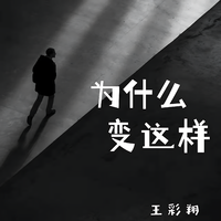 王彩翔 - 为什么变这样