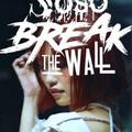 SOSO BREAK THE WALL