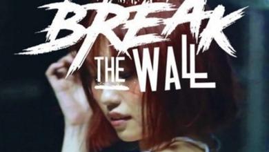 SOSO BREAK THE WALL