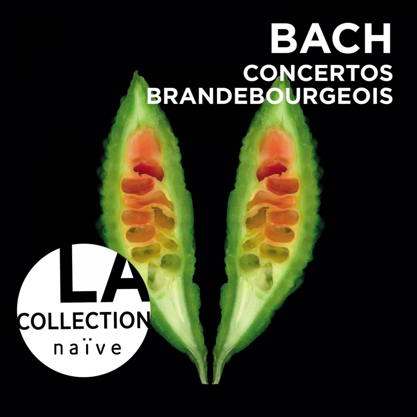 Concerto No 5 in D Major BWV1050: III.Allegro