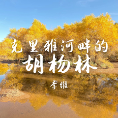 李维《克里雅河畔的胡杨林吉他谱》G调_完美平衡的音色