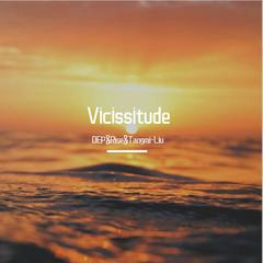 Vicissitude◢◤