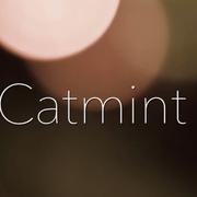 Catmint 猫草乐队