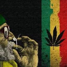 some good reggae