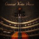 Classical Violin Pieces专辑
