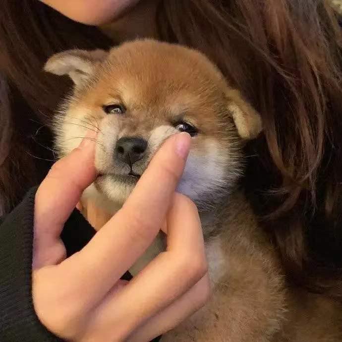 我不是刘德华
