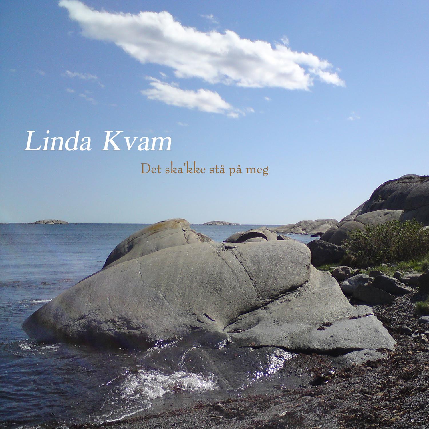 Det Ska'kke Stå På Meg (Single)