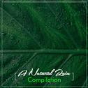 #17 White Noise Rain Tracks - Natural Sleep Ambience专辑