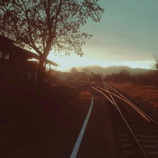 “愿我们走进静谧的长夜”