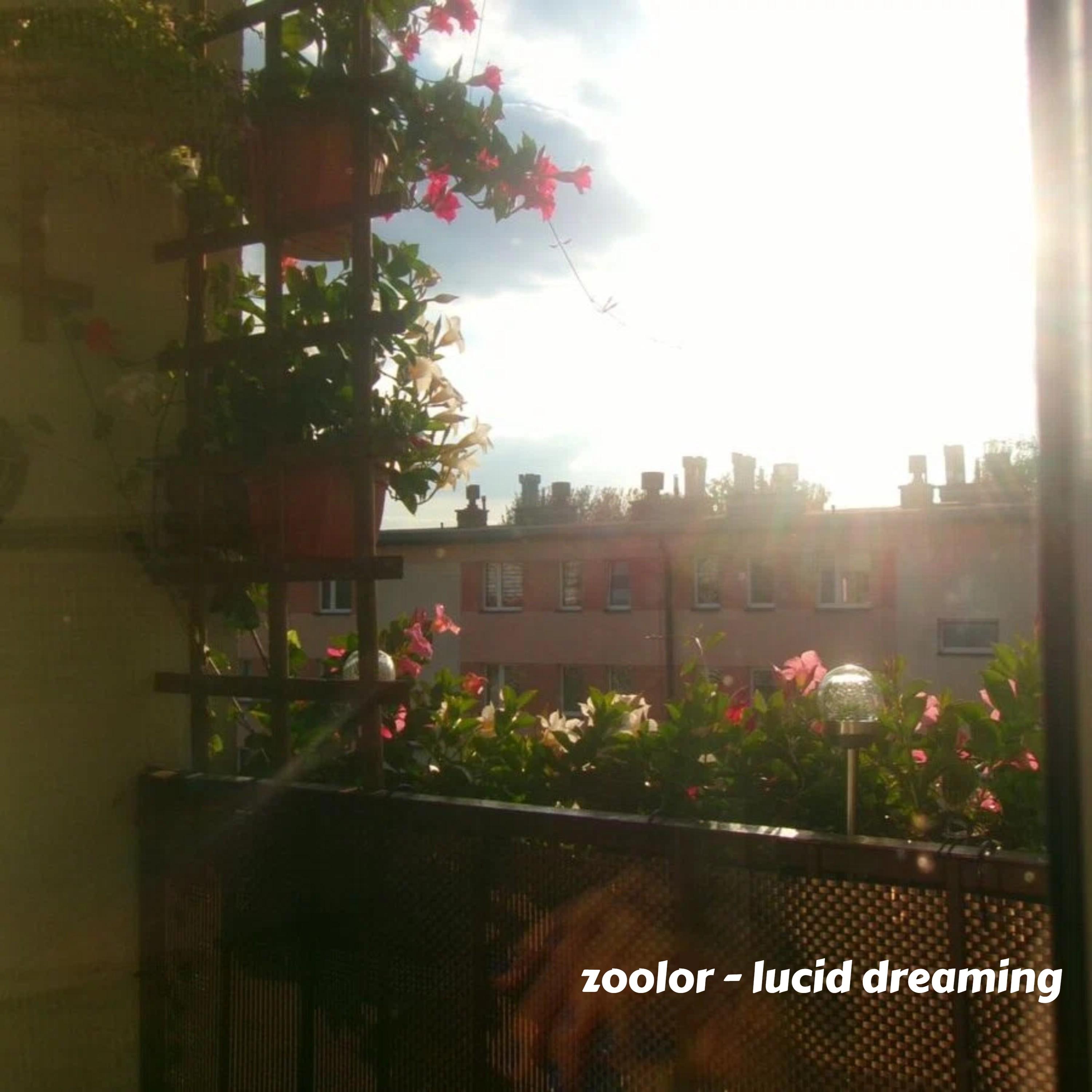 lucid dreaming