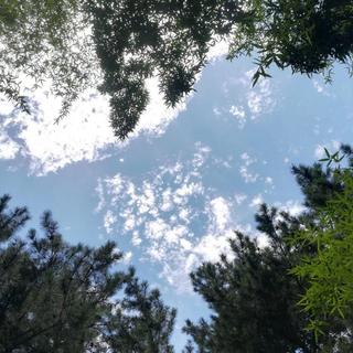 能让人安静下来的声音