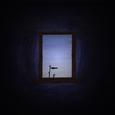 dawn