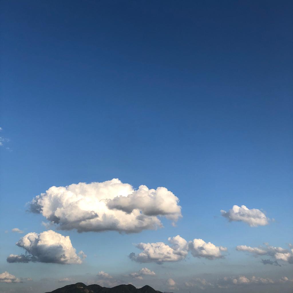 以礼待人，你也会被世界温柔对待 | 在线播放 | 网易云音乐