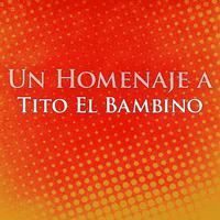 原版伴奏   Tito El Bambino - Te Pido Perdon ( Unofficial Instrumental )无和声