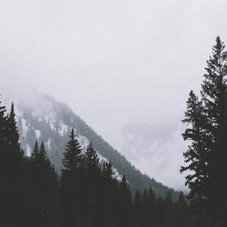 The Foggy Dew爱尔兰民谣精选