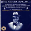 Bruno Walter in Vienna, Vol. 3专辑