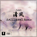 清 风（M€I&SAIZJ Remix）