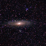 星年年