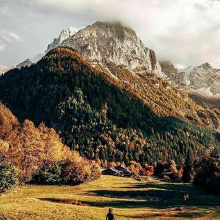 自在独行| 清晨雾弥漫，而你恰醒