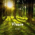 Vivace