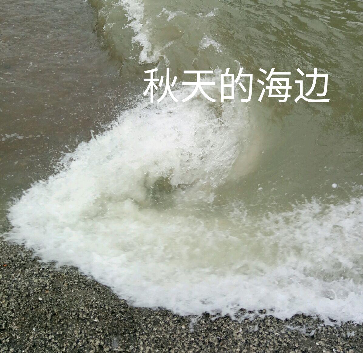 秋天的海边专辑