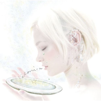 (死神ED)Velonica -Instrumental-