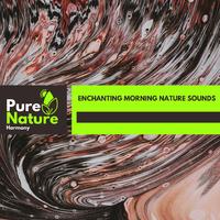 Enchanting Morning Nature Sounds