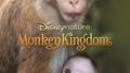 It's Our World (From "Disneynature: Monkey Kingdom")专辑