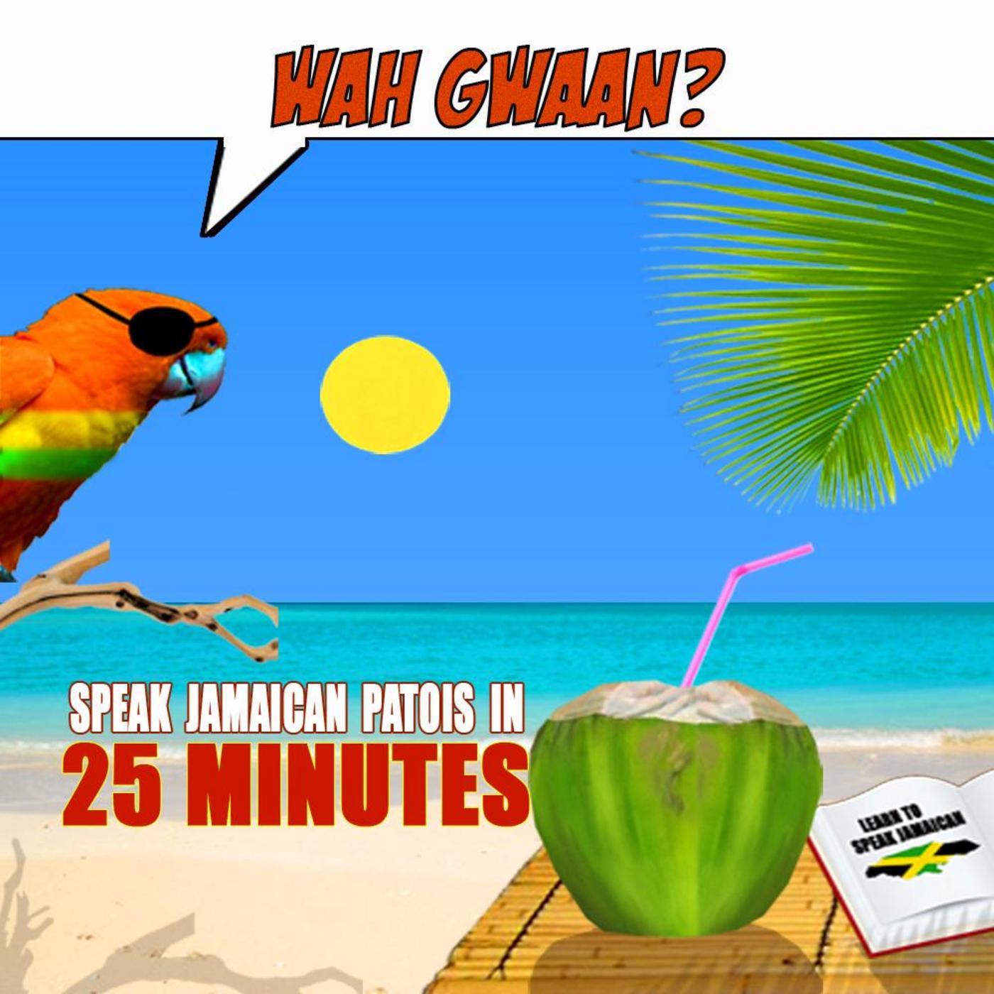 Wah Gwaan? Speak Jamaican Patois in 25 Minutes