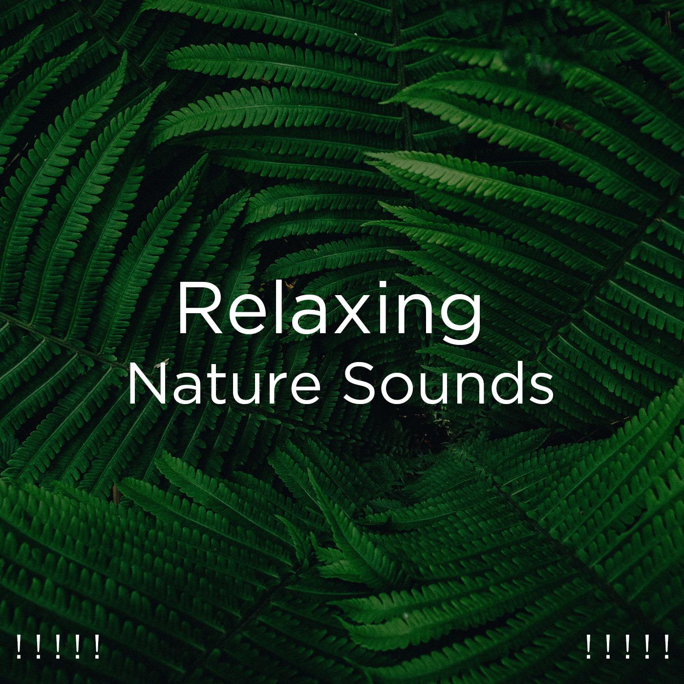 ! ! ! ! ! Relaxing Nature Sounds ! ! ! ! !