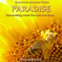 Paradise - Harmonizing Music For Love And Peace专辑