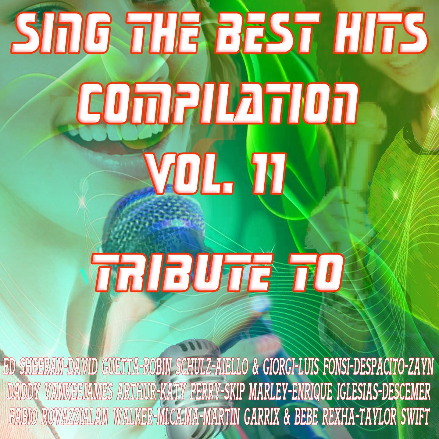 Sing the Best Hits Vol. 11专辑