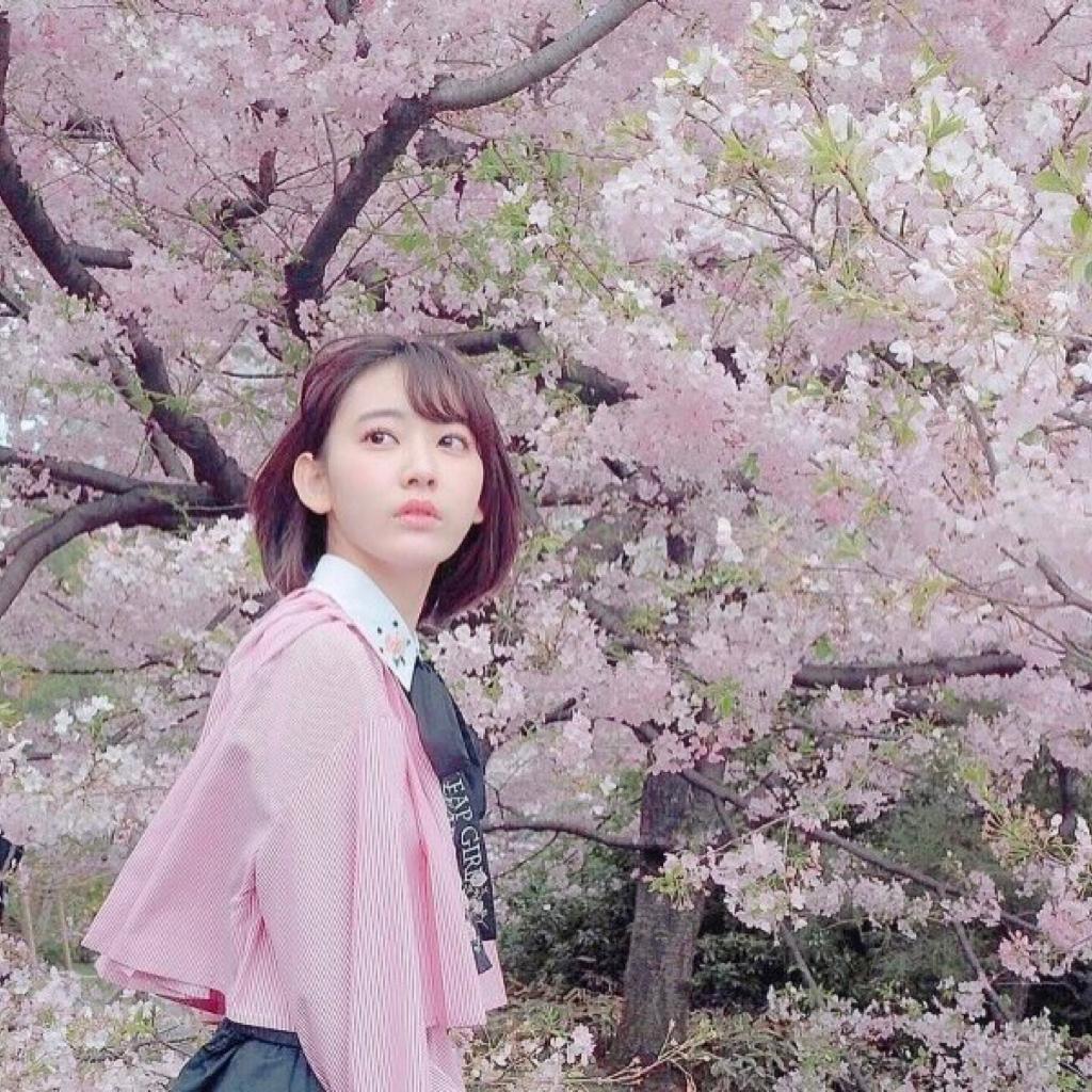 春天是向无人路过的樱花要一场午睡