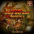 Dirt, Lies & Audio Black Liquid Drum And Bass Essentials 2013, Vol. 04