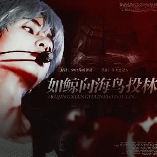 橙光游戏《如鲸向海鸟投林》BGM