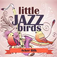 Acker Bilk - Summer Set (instrumental)