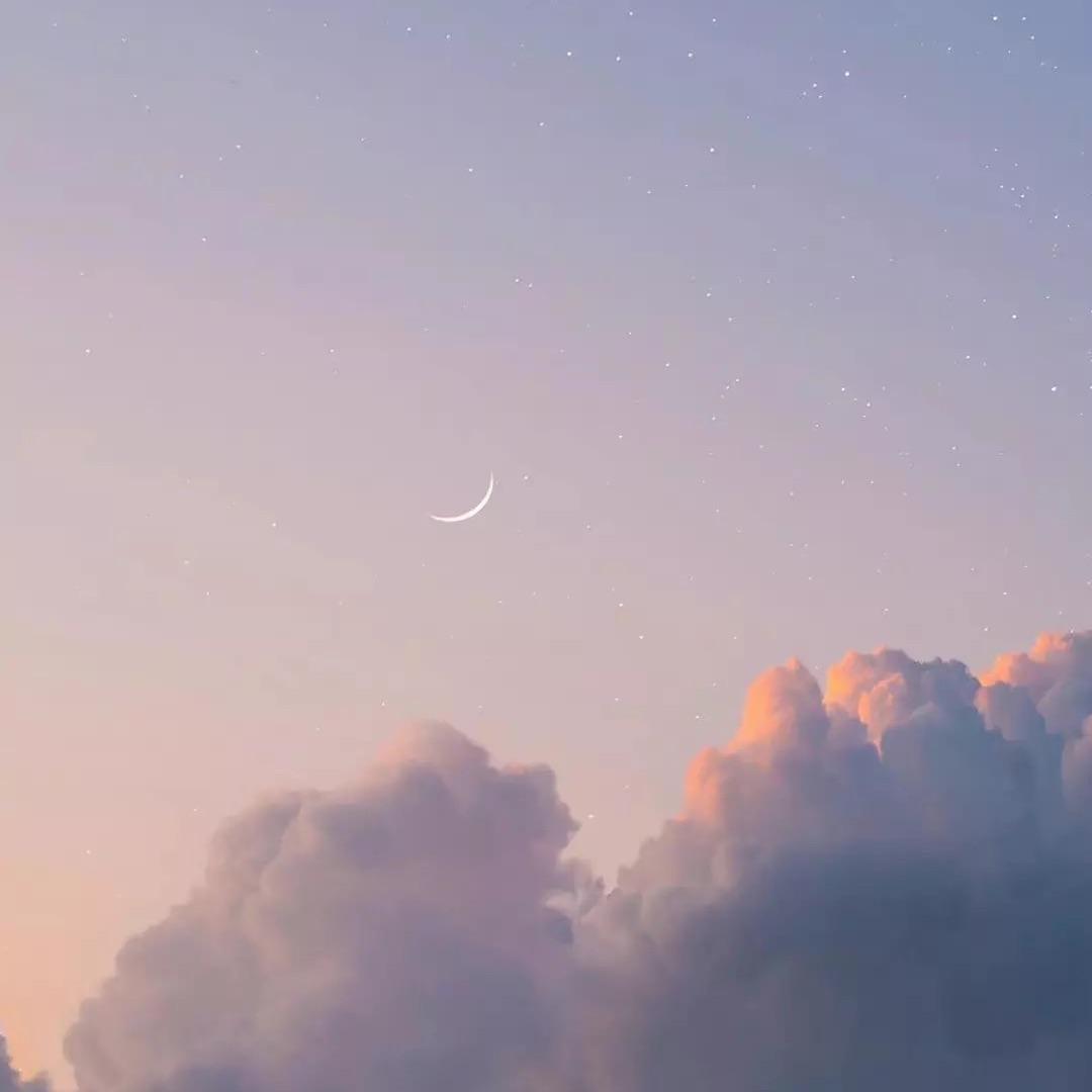 理想