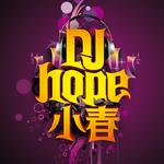 2012 张桐玮 - 不爱我请放开我 (China 大连DjHope小春Extenede Mix)专辑