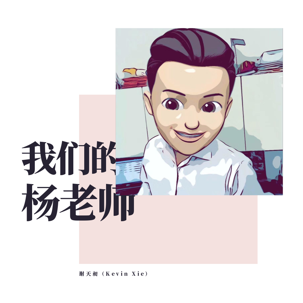 我们的杨老师专辑