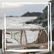 Trap，R&B，Hyperpop，Rock，Punk