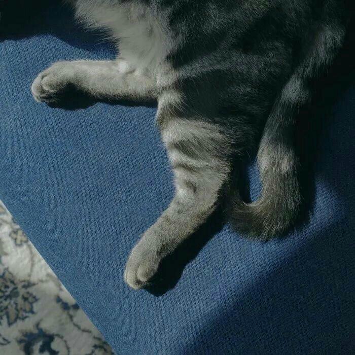 △你头发乱了呦
