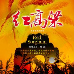 韩红《九儿 (红高粱)吉他谱》_节奏自由流动