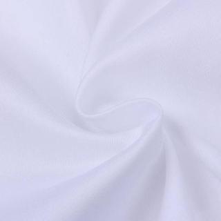 C大调作品入门
